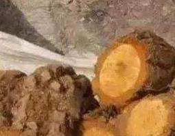 猕猴桃根怎么泡水喝 猕猴桃根怎么泡水喝吗