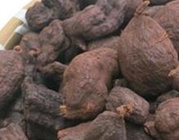 何首乌的功效与作用（何首乌的功效与作用洗头发）