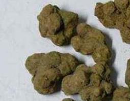 夏天无的功效与作用 夏天无胶囊的功效与作用