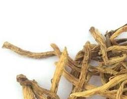 坚龙胆的功效与作用及药用价值（坚龙胆的功效与作用的功效和作用是什么）