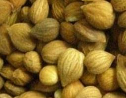 郁李仁的作用与食用禁忌（郁李仁的功效与禁忌）