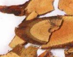 金樱根的功效与作用（菝葜的功效与作用）