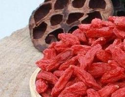 枸杞子有哪些作用与功效