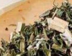 益母草的功效与作用 益母草的食用方法