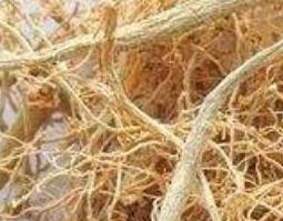 田七根的功效与作用（田七根的功效与作用图片）