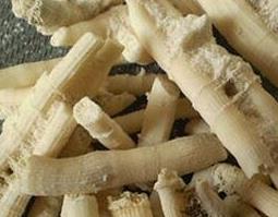 煅鹅管石的功效与作用（鹅管石的功效原理）