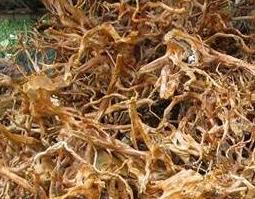 杜鹃根的功效与作用 杜鹃根的功效与作用及禁忌