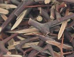 皂角刺的药用价值与功效（皂角刺的药用功效有哪些?）