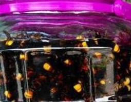 黄蜂泡酒怎么泡（黄蜂泡酒怎么泡?有什么功效?）