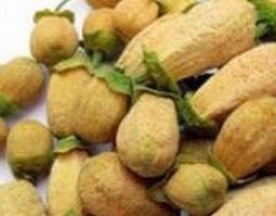 玳玳花的功效与作用 玳玳花的功效与作用及食用方法