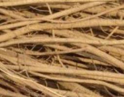 千斤拔的功效与作用（千斤拔的功效与作用及副作用）