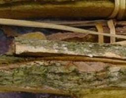 木蝴蝶树皮的功效与作用（木蝴蝶树皮的功效与作用的功能与主治）