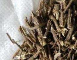 山枣根的作用与功效（山酸枣根的功效与作用）