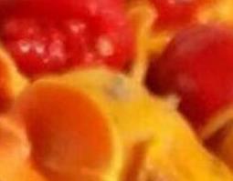 南蛇藤果怎么吃 南藤蛇果功效