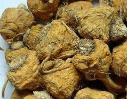 吃玛卡的禁忌（吃玛卡忌吃什么）