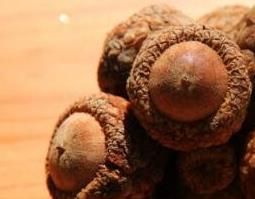 风流果的功效与作用 金樱子加风流果的功效与作用