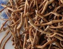 干鱼腥草的功效与作用（干鱼腥草的功效与作用吃法）