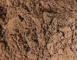 春砂仁粉的功效与作用及药用价值 春砂仁作用和功效