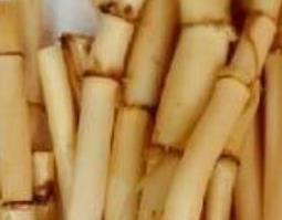 芦苇根泡水喝的功效（芦苇根泡水喝的功效芦苇根泡水喝有什么危害）