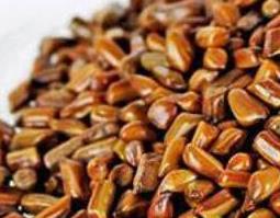 决明子怎么减肥（决明子减肥有效果吗）