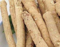 黄芪的功效与作用有哪些（黄芪的功效与作用有哪些禁忌）