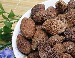 胖大海的功效与作用 胖大海的功效与作用与副作用