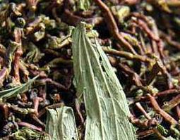 干长寿草怎么吃（长寿草怎么吃好）