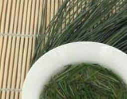 松针叶的功效与作用