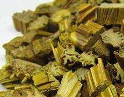 山黄草的功效与作用（山黄草的图片及功效）