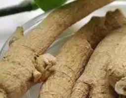 生晒参和西洋参的区别 生晒参与西洋参的区别