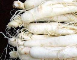 白参的功效与作用及药用价值（白参的功效与作用及药用价值图片）