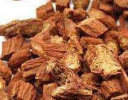 丹参的功效与作用及药用价值