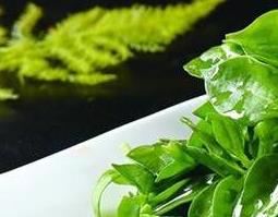 三七叶怎么吃 三七叶怎么吃好