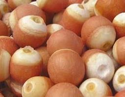 芡实怎么吃 芡实怎么吃最好