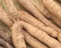 大力牛与牛大力的区别 大力牛与牛大力的区别