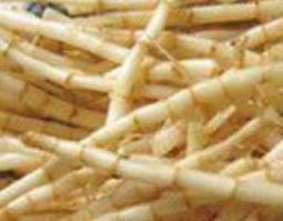 茅根的功效与作用 茅根的功效与作用禁忌