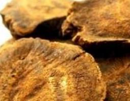 中药大黄的功效与作用 中药大黄的功效与作用点