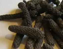 茅香根有什么副作用（香茅根的功效与作用机理）