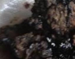 猴结的功效与作用（猴结的功效与作用用量）