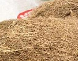 柳根的营养价值和药用价值 水柳根的功效与作用