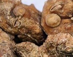 黄精的功效与作用 黄精的功效与作用及副作用