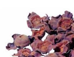 柿蒂如何泡水 柿蒂泡水喝