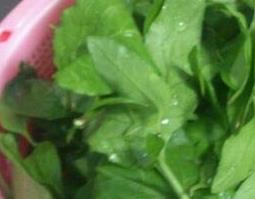 孕妇能吃枸杞叶吗 孕妇能吃枸杞叶吗晚期