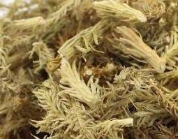 伸筋藤与伸筋草的区别（伸筋藤与伸筋草的区别图片）