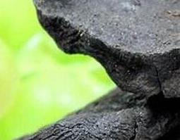 何首乌的功效与作用有哪些 何首乌的作用与功效与作用是什么