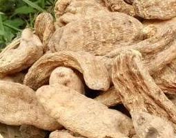 天麻的功效与作用及药用价值 天麻的功效与作用及药用价值是什么