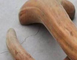 鹿茸的功效与作用有哪些（鹿茸的功效与作用有哪些?）