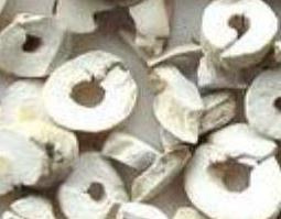 牡丹泡水喝有什么功效（牡丹泡水喝有什么功效与作用）