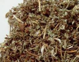 中药小地扭的功效与作用