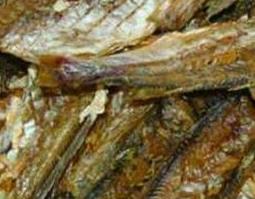 中药鱼板的功效与作用（中药鱼板的功效与作用及禁忌）